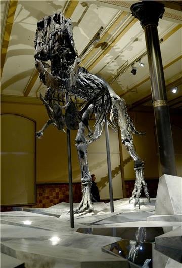 Tyrannosaurus Rex &quot;Tristan Otto&quot; wird in Berlin ausgestellt
