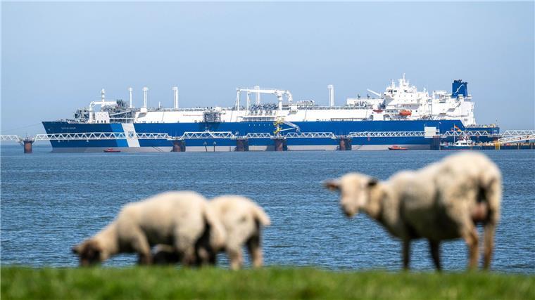 Importe über deutsche LNG-Terminals auf Rekordniveau Das Spezialschiff „Excelsior“ hat als schwimmendes LNG-Terminal Ende August den kommerziellen Betrieb aufgenommen. (Archivbild)