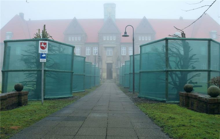 Eiben vor Nordenhamer Amtsgericht sorgen für Diskussionsstoff Das Staatliche Baumanagement Ems-Weser schätzt, dass die engmaschigen grünen Schutzgitter mindestens ein Jahr lang stehen bleiben müssen. Sie sollen dafür sorgen, dass die Rinde der Eiben nicht zu viel UV-Strahlung abbekommt.