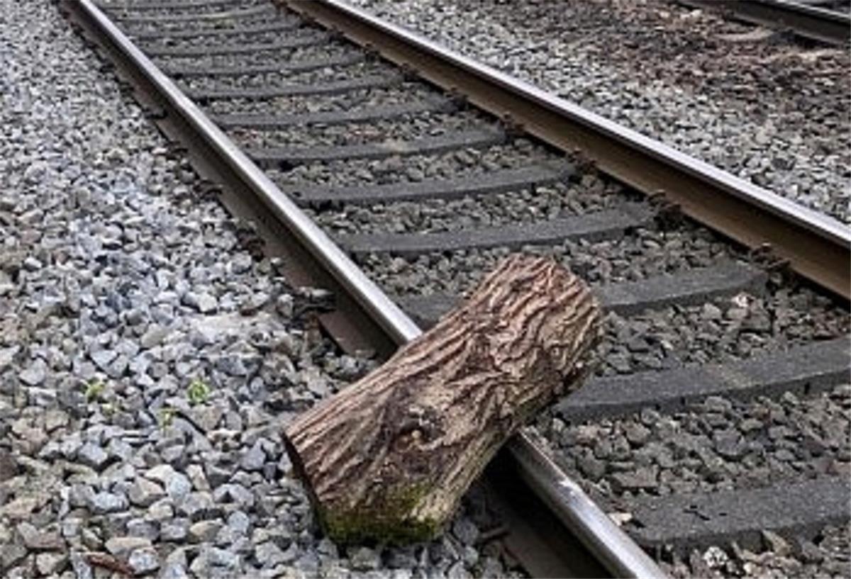 Ritterhude: Unbekannte legen Baumstamm auf die Gleise Ein Baumstamm liegt auf den Gleisen.