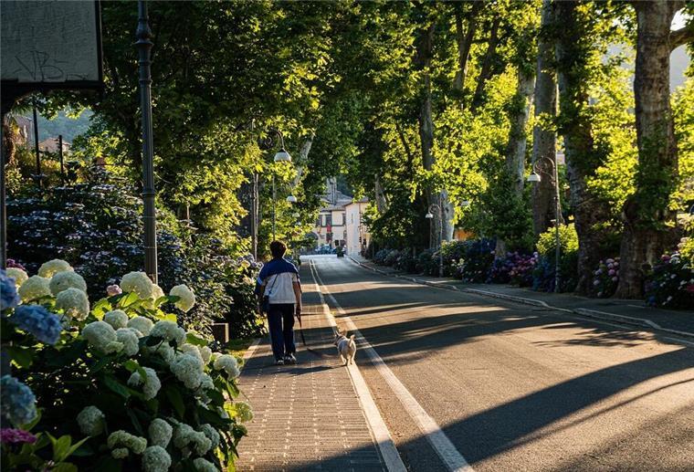 Tierwohl in der Stadt: Initiativen und Tipps für ein harmonisches Zusammenleben Mann mit Hund