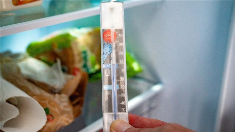 So viel sparen Haushalte beim Besuch der Strom-Detektive Der Stromspar-Check des Förderwerks Bremerhaven zu Besuch bei Beate Börsmann in Beverstedt. Der Kühlschrank ist mit sieben Grad genau richtig eingestellt.