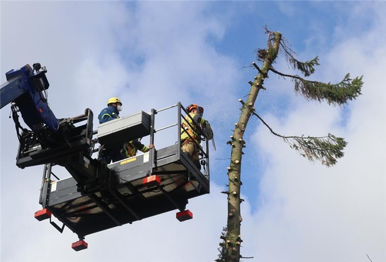 Lehe: Baum droht in Wohnhaus zu stürzen Das THW unterstützt die Feuerwehr in Lehe mit einem Teleskoplader.