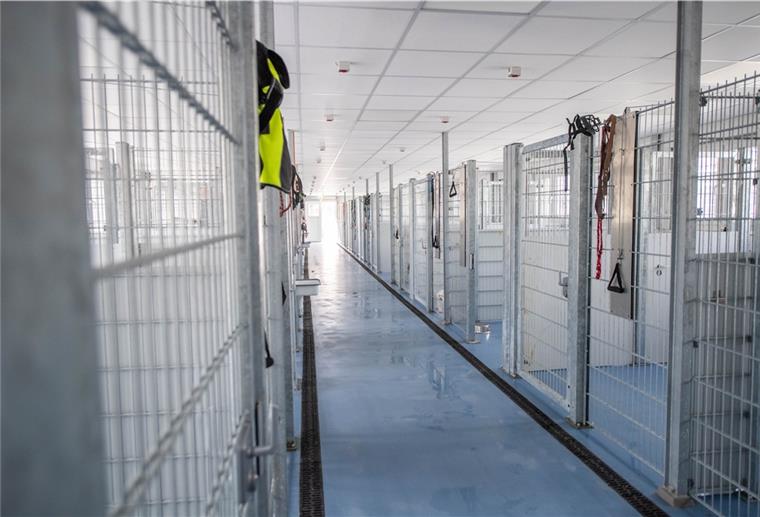 Tierheim Bremerhaven nach Umzug zufrieden Das Tierheim Bremerhaven ist umgezogen. Bei einem Besuch präsentiert sich das Gebäude als weitläufig und modern – mit kleineren Kinderkrankheiten. Doch die Verantwortlichen sind zufrieden.