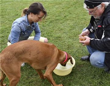 Das war doch für einige Hunde eine Überwindung. Aber Wurst gab es nur mit „Kopf ...