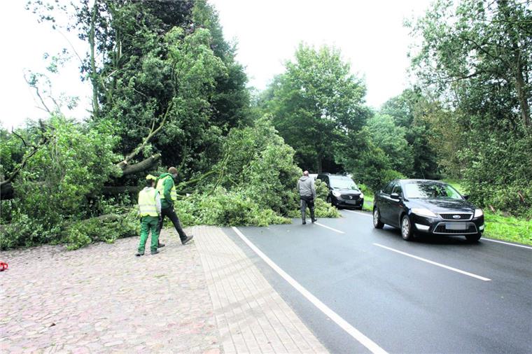 So ist Sturmtief "Sebastian" über das Cuxland und Bremerhaven gefegt Das war knapp: Vor dem Auto von Jürgen Schulz aus Stubben krachte dieser Baum aufgrund von Sturmtief "Sebastian" in Deelbrügge in der Gemeinde Beverstedt nieder.