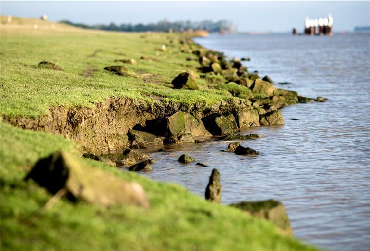 Sturmflutsaison: Mehr Geld für die Sicherheit der Deiche Das Wasser unterspült eine Abbruchkante im Deich. Mit Beginn der Sturmflutsaison im Herbst nehmen Küstenschützer wieder die Deiche in den Blick.