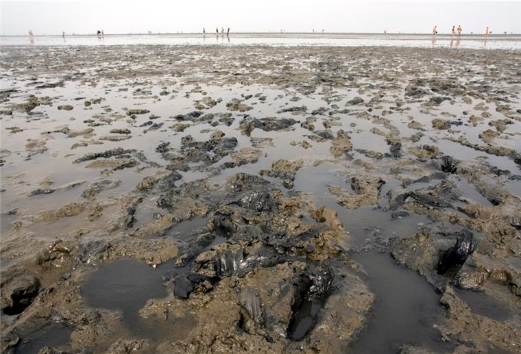 Schlick aus Hamburg sorgt in Cuxhaven für Ärger Blick auf ein Schlickfeld im Watt.