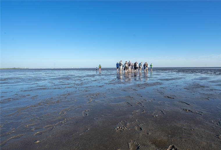 Nordseebad Otterndorf: AUSFLUG ANS MEER Wattenmeer Otterndorf