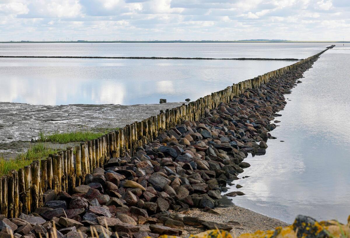 Sommerdeiche geöffnet: So rüstet sich das Wattenmeer gegen den Klimawandel Symbolbild für das Wattenmeer: Eine Steinbuhne führt in die Nordsee.