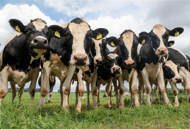 Wehden: Bauernhof-Viehling fällt aus Bauernhof-Viehling ohne Besucher: Die beliebte Veranstaltung fällt in diesem Jahr aus.
