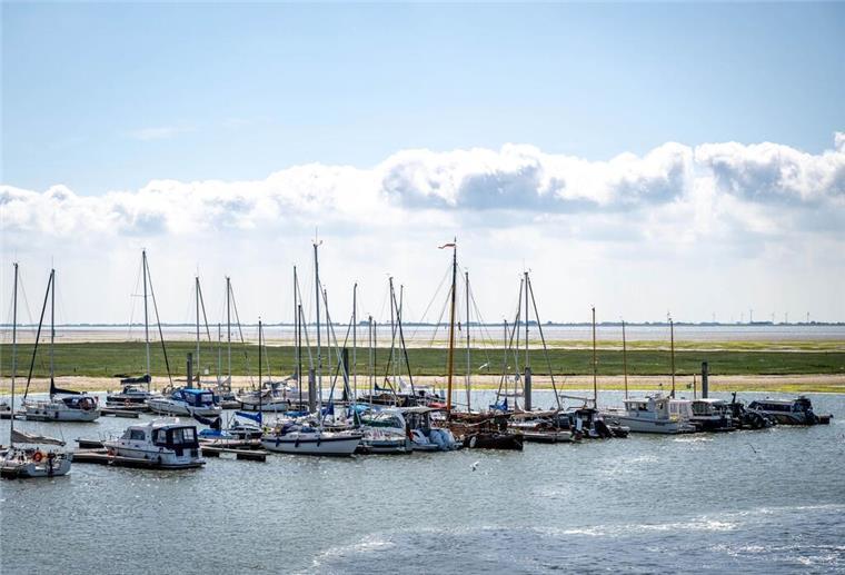 E-Mobilität im Wattenmeer: Erste Ladesäulen für Elektroboote geplant Das Ziel der Initiatoren ist eine Kette von Ladesäulen entlang der niedersächsischen Nordseeküste. (Archivbild)