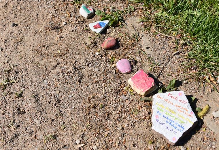 Bunte Steinschlange wächst und wächst Das Ziel der Steinschlange ist, es die Gateteiche zu umrunden. Von Tag zu Tag wächst sie weiter, doch um das Ziel zu erreichen, braucht es noch einige Steine.
