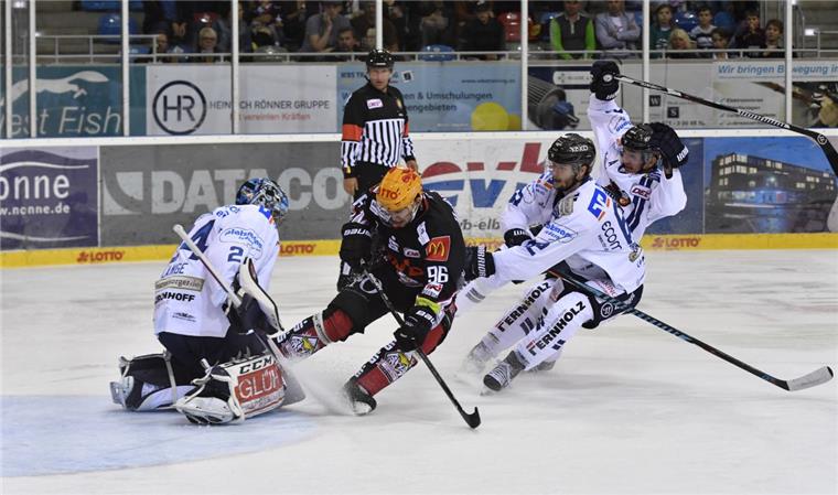 David Zucker kann wieder mitmischen David Zucker (Mitte) gibt am Freitag gegen Nürnberg sein Comeback für die Fischtown Pinguins.