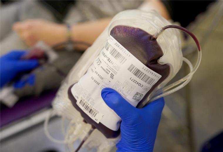 Blutreserven in Bremen und Niedersachsen sind knapp geworden Eine Mitarbeiterin des Deutschen Roten Kreuzes (DRK) hält eine Blutspende in der Hand