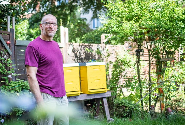 Der Jazz der Bienen: Gitarrist Jörg Seidel und sein Völkchen Den Jazz der Bienen genießt Jazzgitarrist Jörg Seidel neuerdings in seinem Garten in Geestemünde. Foto: Hartmann