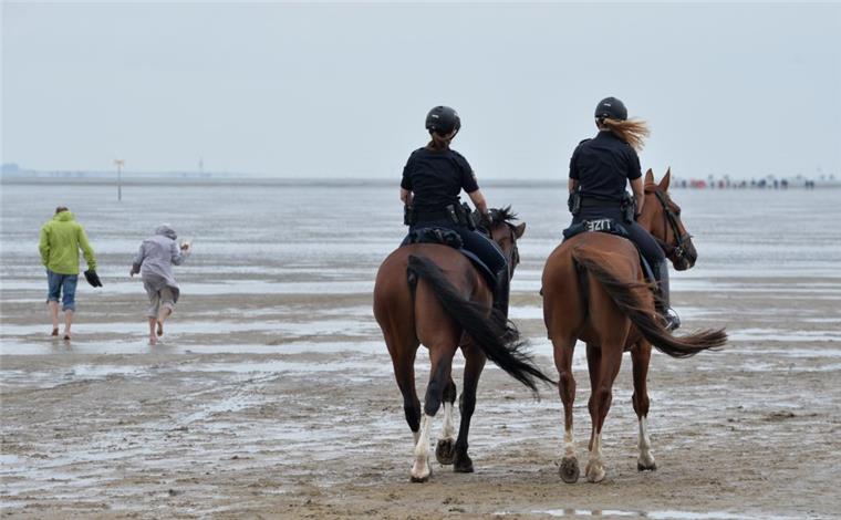 Nach 20 Jahren: Keine Polizei mehr im Watt vor Cuxhaven Den Schutz des Nationalparks, Hinweise zur Flut und Hilfe bei Problemen mit Urlauberpferden – hatten die zwei Polizisten der Reiterstaffel Hannover bei ihren achtwöchigen Sommereinsätzen in Cuxhaven unter anderem im Blick.