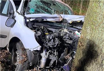 Der 39-jährige Fahrer des Wagens starb noch am Unfallort.