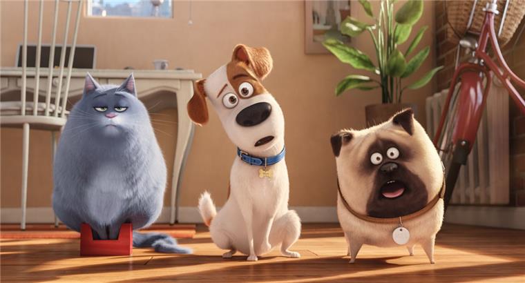 Der Animationsfilm "Pets" startet am Donnerstag in den Kinos in Bremerhaven, Cuxhaven und Bremen.