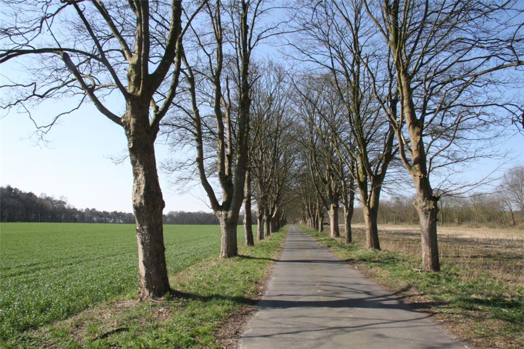 Der ausgezeichnete Privatweg in Driftsethe: Reise durch die Jahreszeiten. Foto: ...