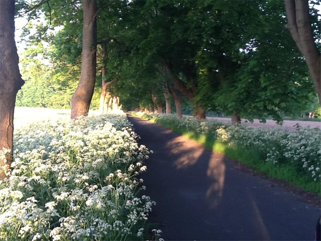 Der ausgezeichnete Privatweg in Driftsethe: Reise durch die Jahreszeiten. Foto: ...