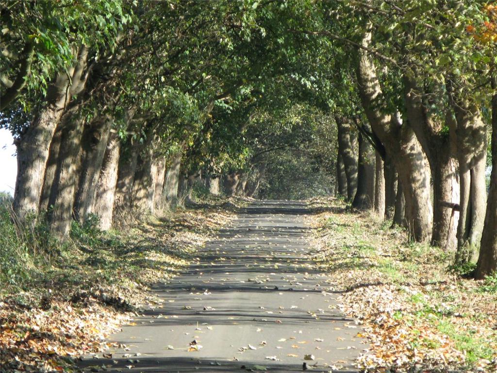 Der ausgezeichnete Privatweg in Driftsethe: Reise durch die Jahreszeiten. Foto: ...