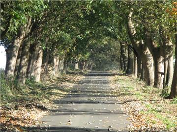 Der ausgezeichnete Privatweg in Driftsethe: Reise durch die Jahreszeiten. Foto: ...