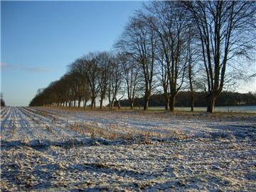 Der ausgezeichnete Privatweg in Driftsethe: Reise durch die Jahreszeiten. Foto: ...