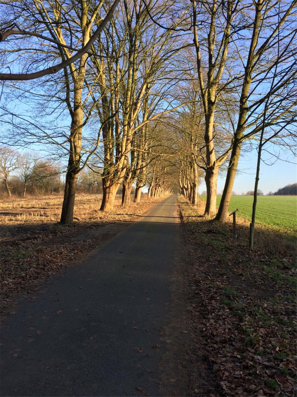 Der ausgezeichnete Privatweg in Driftsethe: Reise durch die Jahreszeiten. Foto: ...