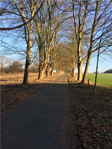 Der ausgezeichnete Privatweg in Driftsethe: Reise durch die Jahreszeiten. Foto: ...