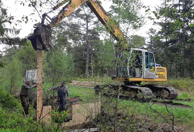 Holzurburger Wald: Staubauwerk hilft dem Moor Der Bagger drückt die Bohlen in den Grund. Das Staubauwerk im Holzurburger Forst nimmt Form an. Es soll dafür sorgen, dass das Moor ausreichend gewässert ist.