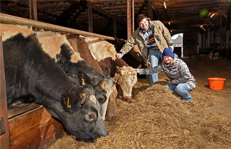 Bremerhavens einziger Landwirt wird "Bio-Bauer" Der Bauernhof der Familie Kracke in Weddewarden wird ein Biohof.