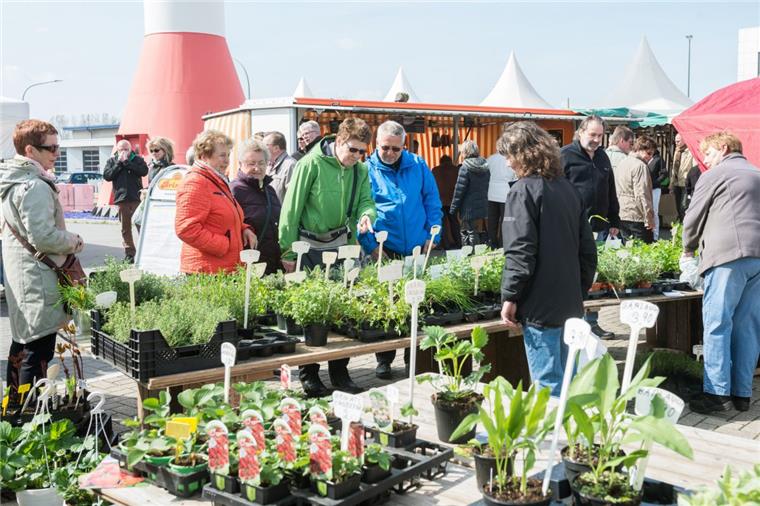 Der Bauernmarkt im Schaufenster Fischereihafen öffnet am Sonntag.