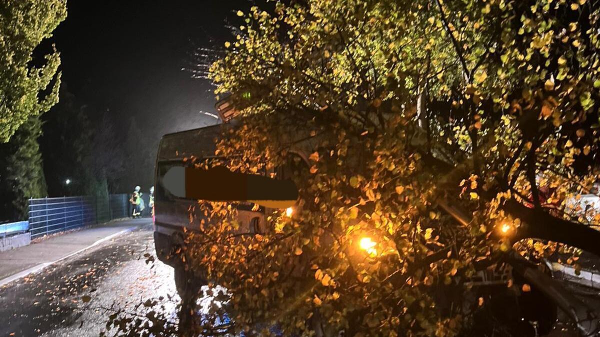 Crash bei Wehdel! Bremerhavener fährt Baum vor Kindergarten um Der Baum, welcher auf der Verkehrsinsel stand und aus dem Boden gerissen wurde.