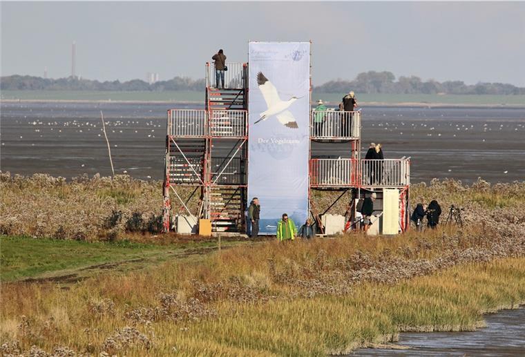 Veranstaltungen bei Zugvogeltagen auch in Butjadingen Der Beobachtungsturm am Vareler Hafen wird extra für die Dauer der Zugvogeltage aufgebaut. Ganztags sind Experten vor Ort, die hochwertige Optik dabei haben und Fragen der Besucher beantworten.