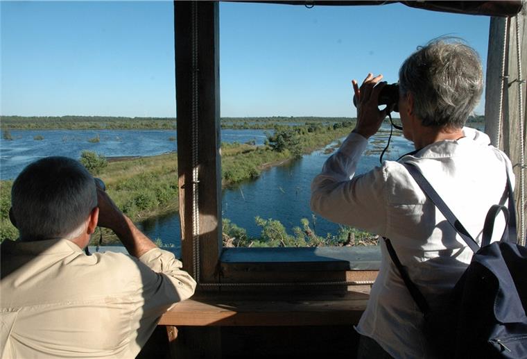 Landkreis Rotenburg sperrt Türme für Vogelfreunde Der Blick vom Aussichtsturm im Tister Bauernmoor lässt sich vorerst nicht mehr genießen.
