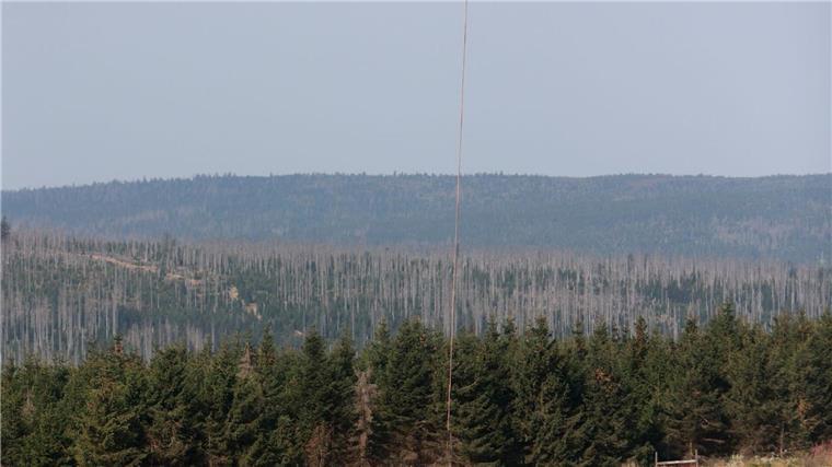 Waldbrand am Brocken im Harz breitet sich aus Der Brand unterhalb des Brockens im Harz ist noch nicht unter Kontrolle (Foto aktuell).