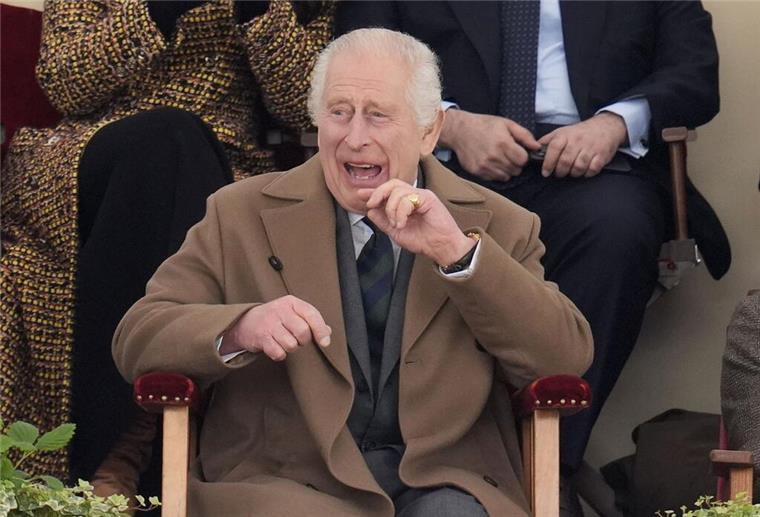 Vor einem Jahr wurde König Charles gekrönt Der britische König Charles III. am dritten Tag der Royal Windsor Horse Show.