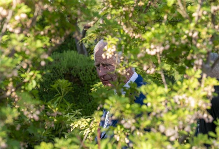 Berühmter Baum gefällt: König Charles bekommt Ableger Der britische König Charles III. beim Besuch der Chelsea Flower Show in London.