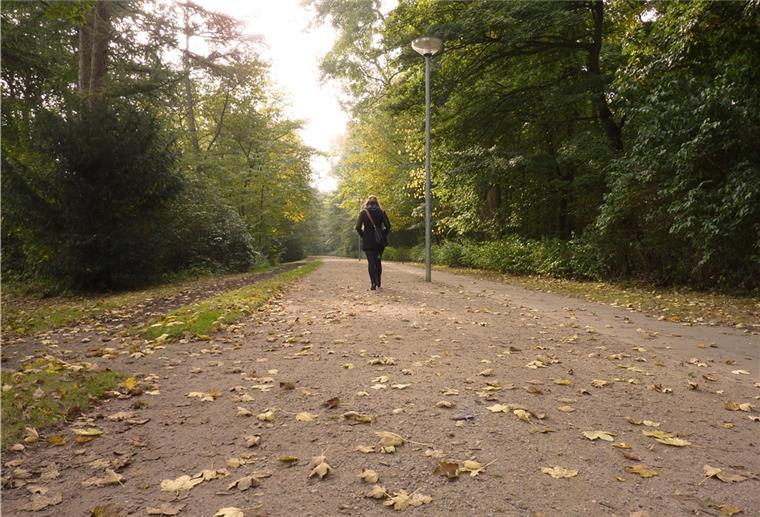 Der Bürgerpark bietet vielfältige Möglichkeiten für die herbstliche Freizeitgestaltung.
