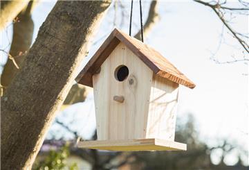 Vogelnistkasten für Kohlmeisen