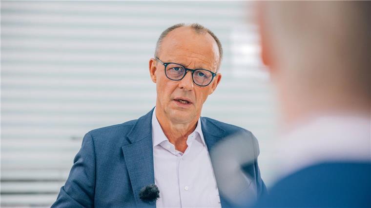 CDU-Fraktionschef in Bremen lehnt Zusammenarbeit mit AfD ab Der CDU-Vorsitzende Friedrich Merz (l) sitzt mit Moderator Theo Koll beim ZDF-Sommerinterview.