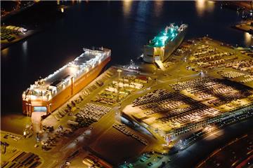Der Containerumschlag spült Geld in die BLG-Kasse. Der Autoumschlag blieb jedoch hinter den Erwartungen.