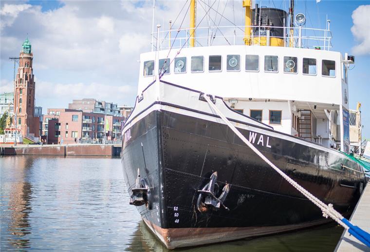 Dampfeisbrecher „Wal“ nach großer Tour zurück in Bremerhaven Der Dampfeisbrecher „Wal“ ist zurück in ihrem Heimathafen.