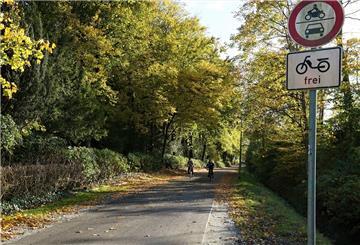 Der Radweg am Dwarsweg