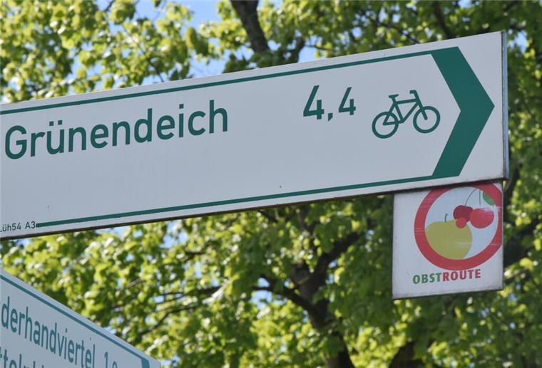 Seitenblick auf die Elbe Elbe-Radweg