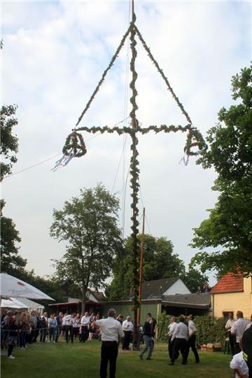 Der Ellwürder Pfingstbaum steht auf dem Spielplatz an der Butjadinger Straße.