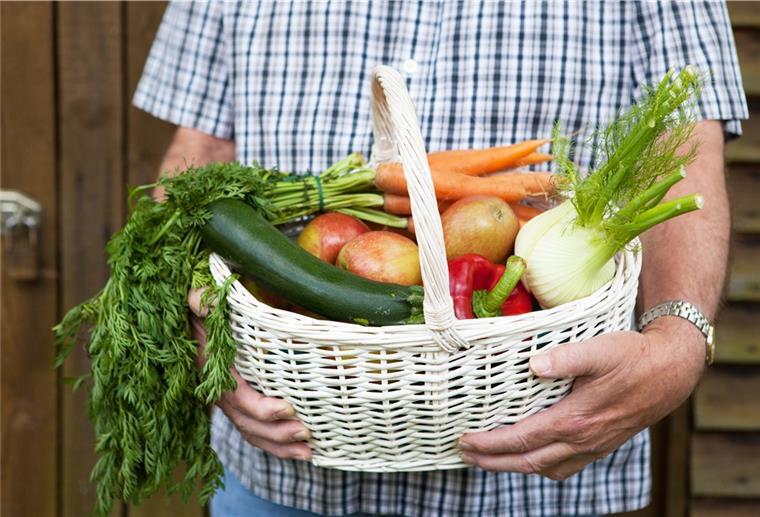 Der Ernährungsrat möchte unter anderem Wissen über regionale und nachhaltige Lebensmittel vermitteln. 