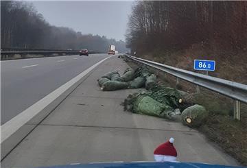 Der Fahrer des Lkw verlor etwa 25 Weihnachtsbäume.