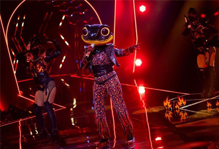 Die Lok sieht Schwarz: Zwei Enttarnungen bei „Masked Singer“ Der Feuersalamander hat es bei „The Masked Singer“ nicht ins Finale geschafft. (Archivbild)
